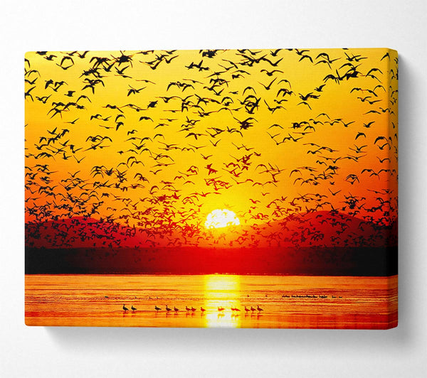  A Canvas Print of The Birds In The Golden Sunset Canvas Wall Art