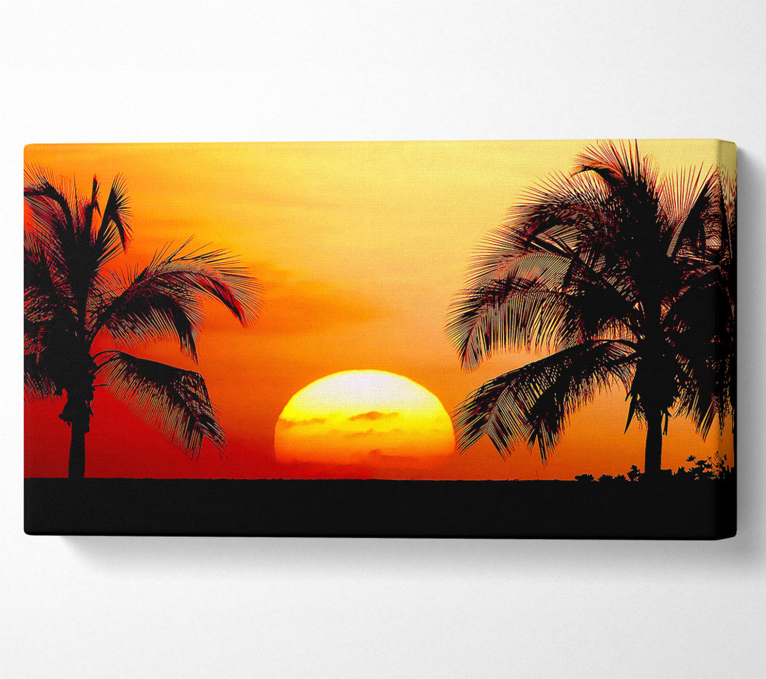  A Canvas Print of Sun Between The Palmtrees Canvas Wall Art