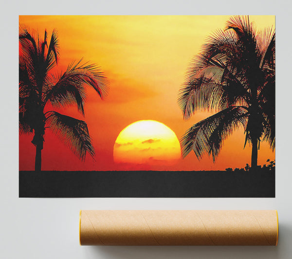 Sun Between The Palmtrees Poster