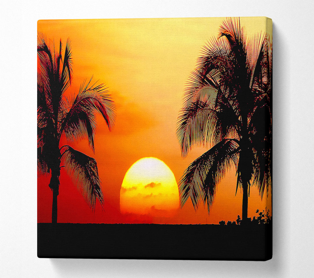  A Canvas Print of Sun Between The Palmtrees Canvas Wall Art