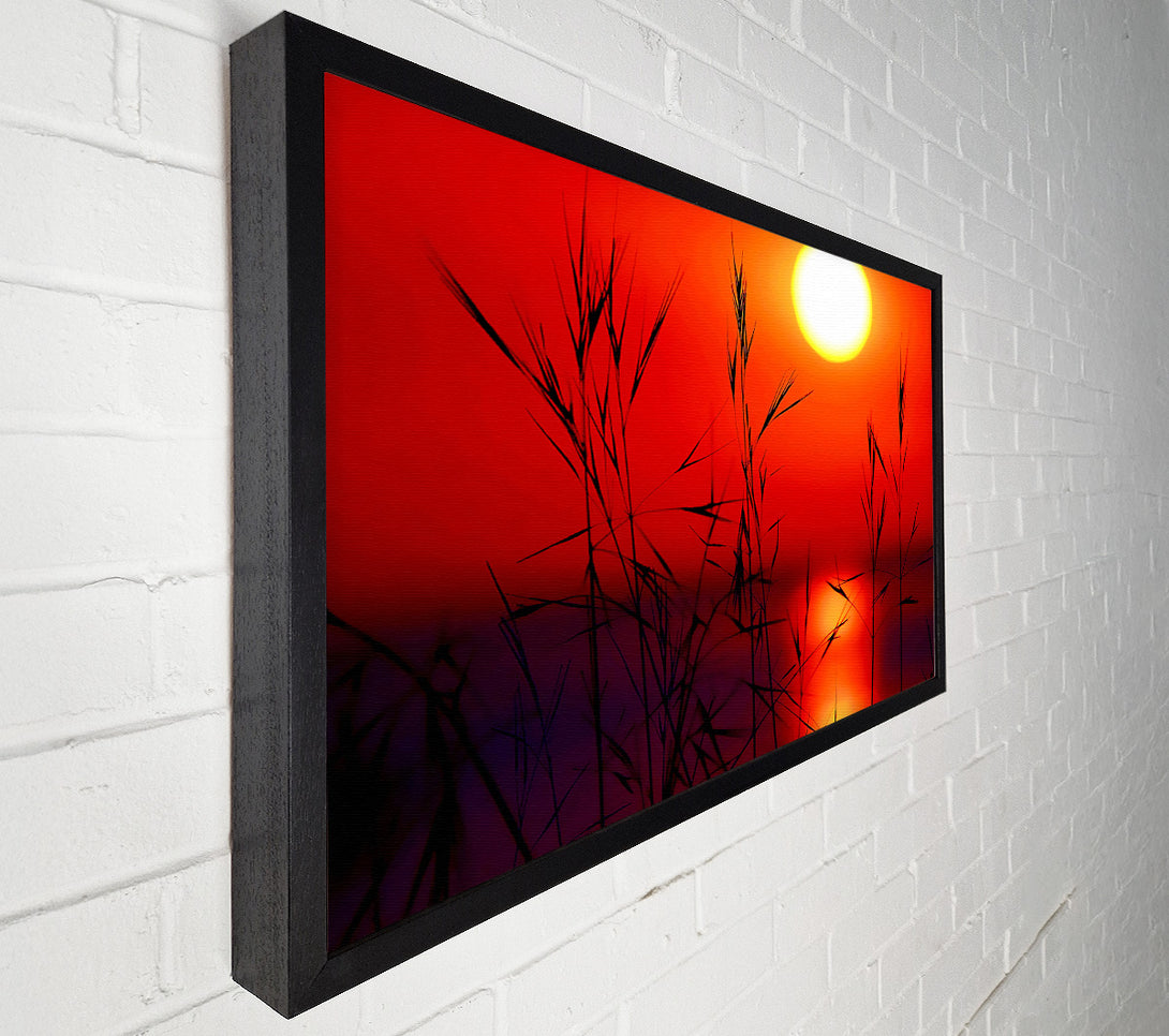  A Canvas Print of Sun Through The Red Reeds Canvas Print