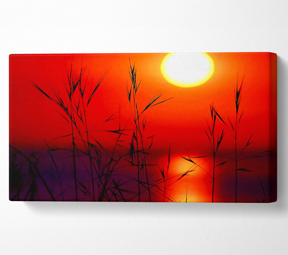  A Canvas Print of Sun Through The Red Reeds Canvas Print