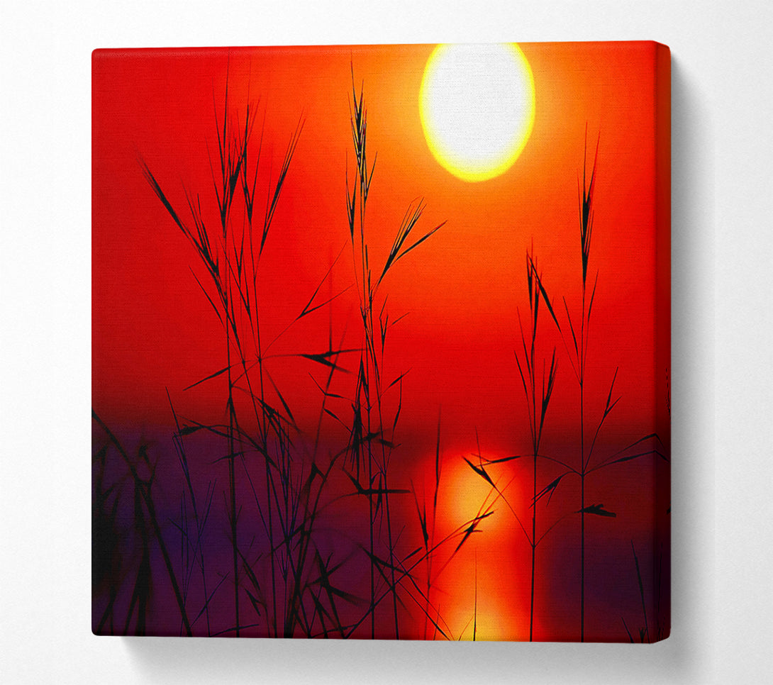  A Canvas Print of Sun Through The Red Reeds Canvas Print