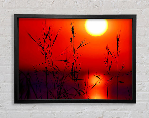 Sun Through The Red Reeds Framed Print
