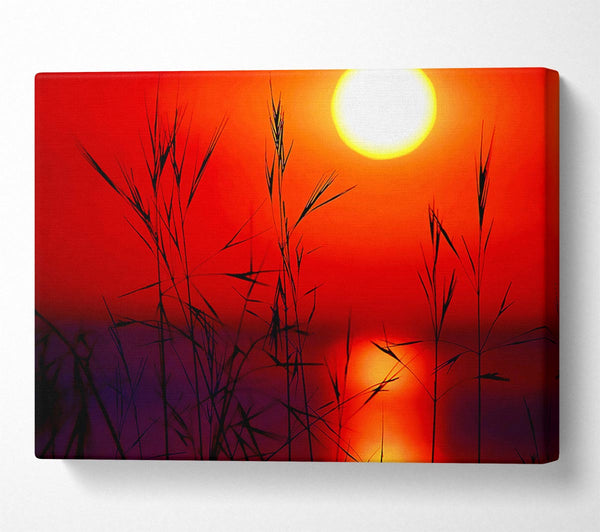  A Canvas Print of Sun Through The Red Reeds Canvas Print