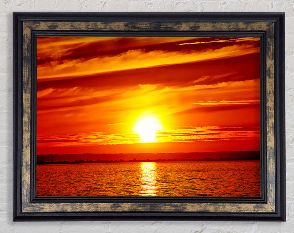 The Oceans Golden Delight Framed Print