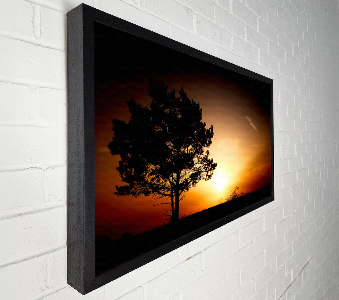  A Canvas Print of Sunrise Tree Canvas Art