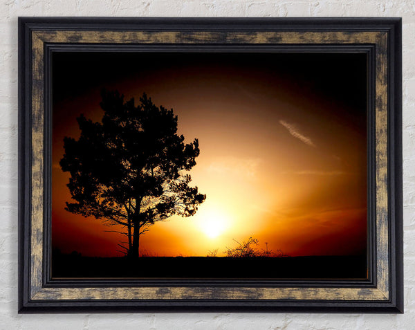 Sunrise Tree Framed Print