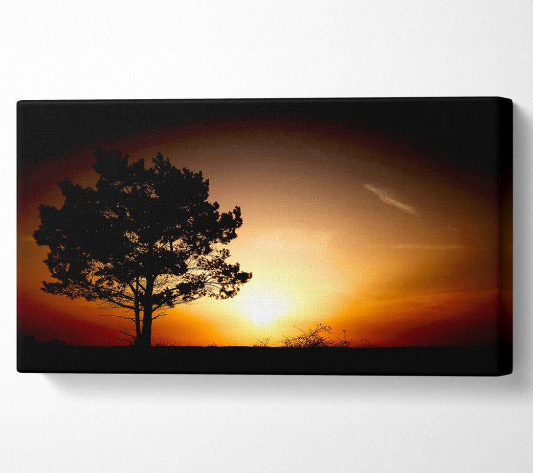  A Canvas Print of Sunrise Tree Canvas Art