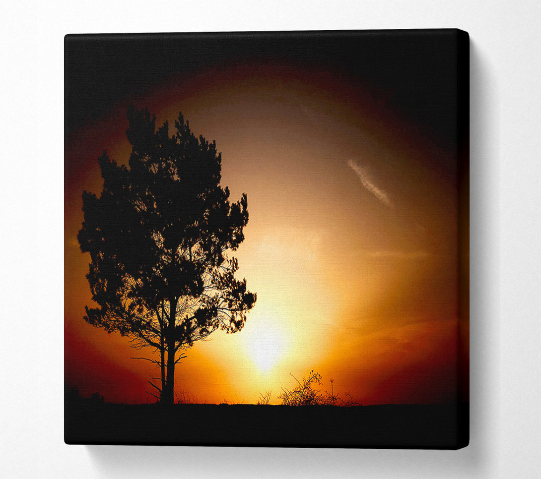  A Canvas Print of Sunrise Tree Canvas Art