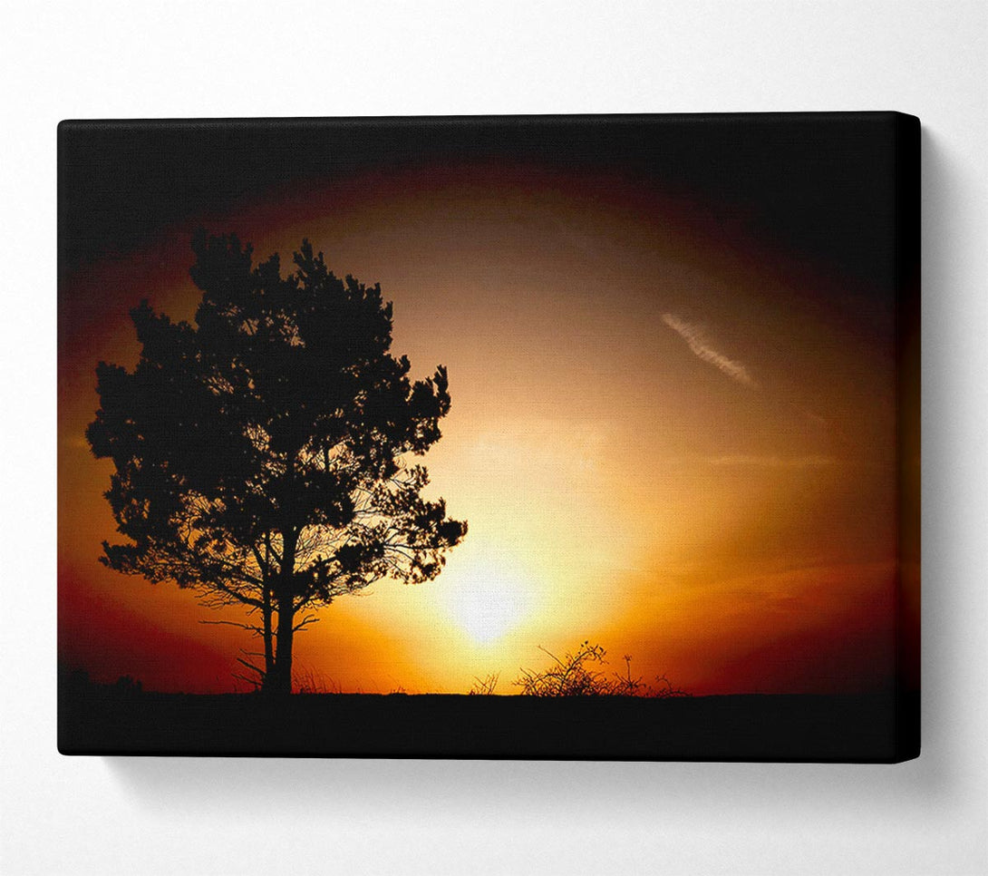  A Canvas Print of Sunrise Tree Canvas Art