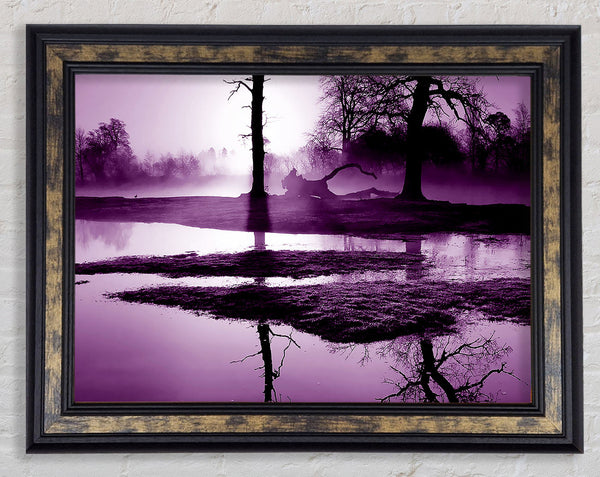 Sunset Forest Waters Purple Framed Print