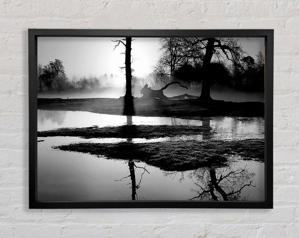 Sunset Forest Waters B n W Framed Print