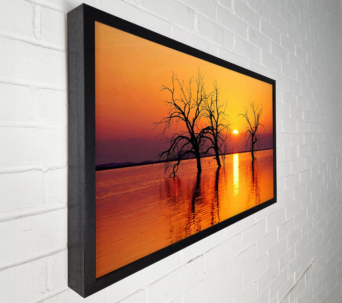  A Canvas Print of Trees In The Ocean Canvas Art