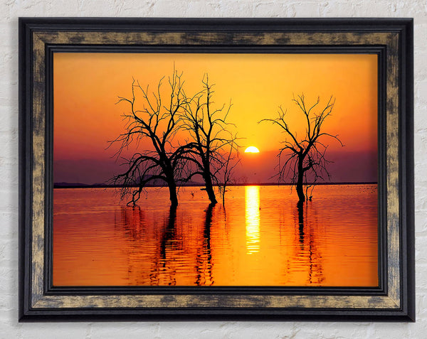 Trees In The Ocean Framed Print