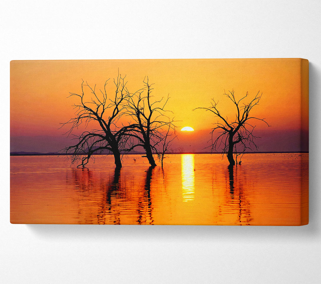  A Canvas Print of Trees In The Ocean Canvas Art