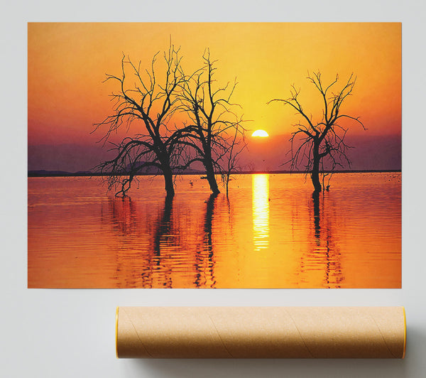 Trees In The Ocean Poster