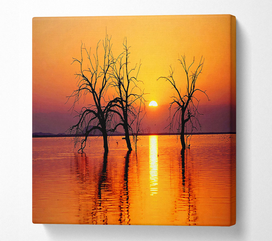  A Canvas Print of Trees In The Ocean Canvas Art