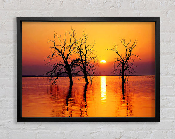 Trees In The Ocean Framed Print