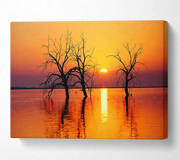  A Canvas Print of Trees In The Ocean Canvas Art