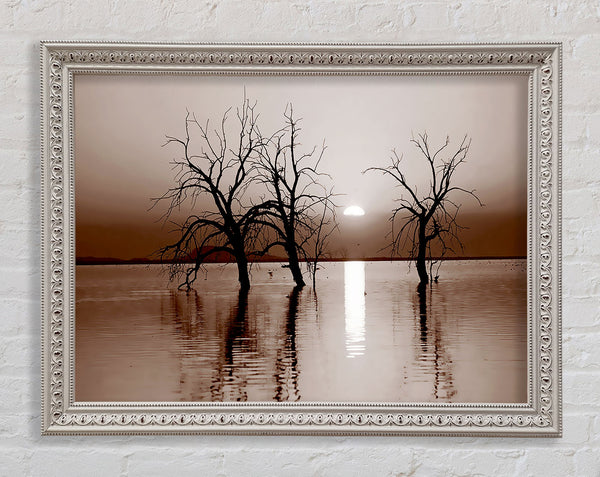 Chocolate River Tree Framed Print