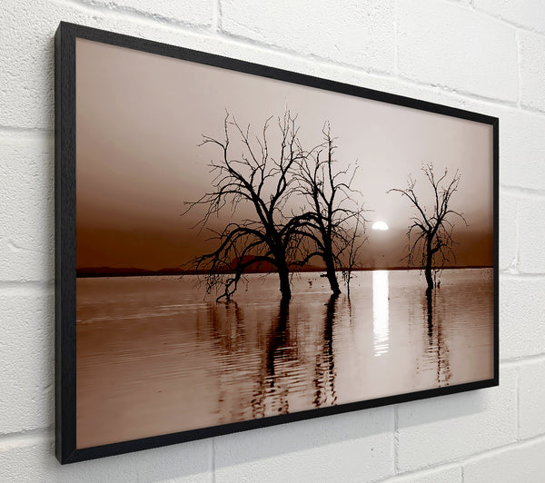 Chocolate River Tree