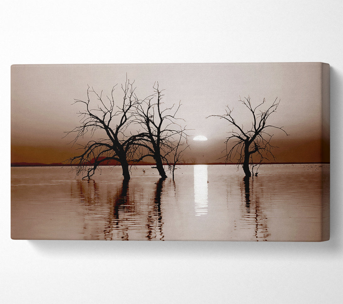  A Canvas Print of Chocolate River Tree Canvas Print