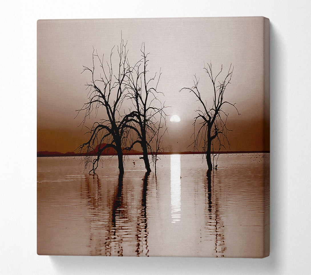 A Canvas Print of Chocolate River Tree Canvas Print