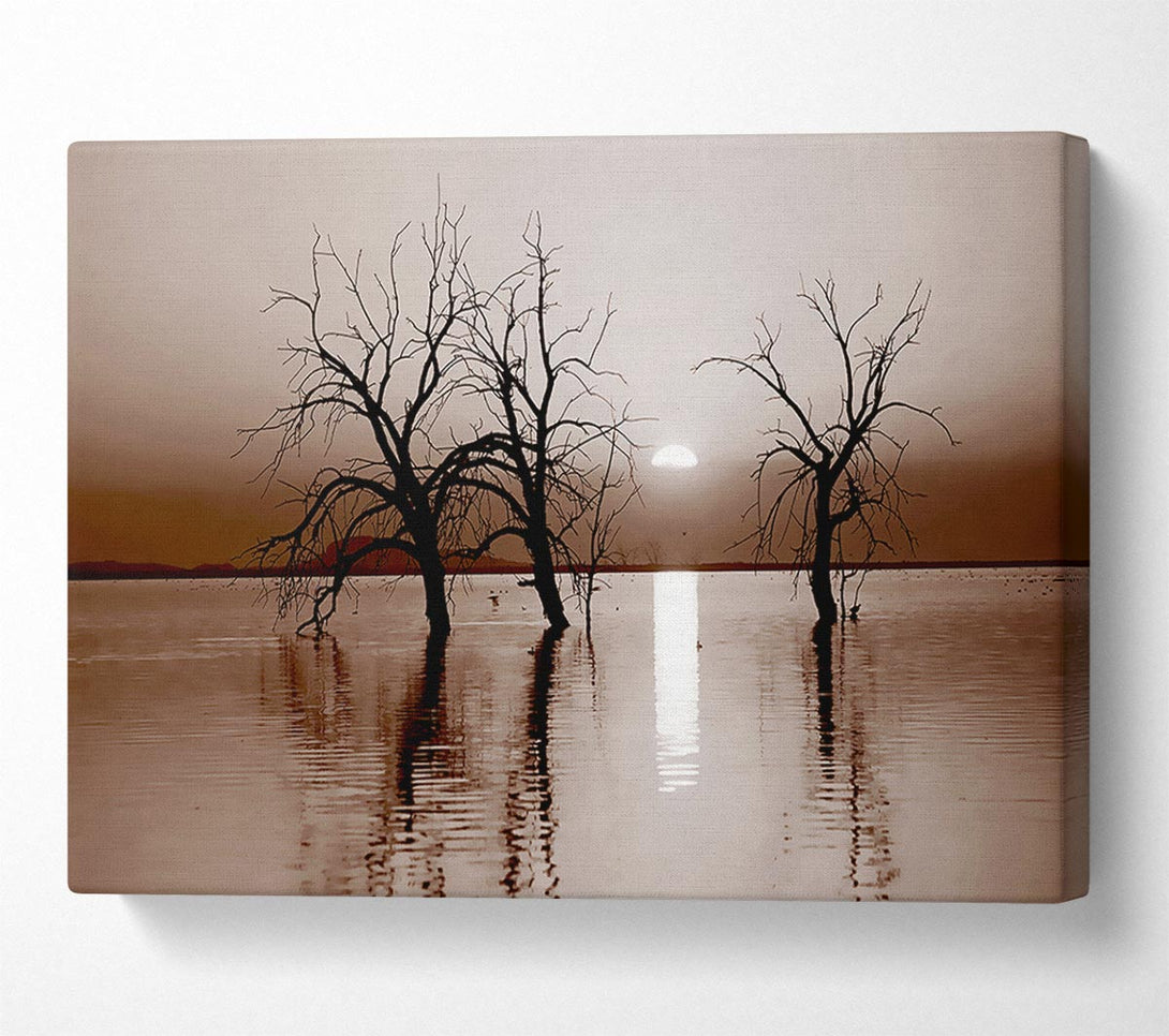  A Canvas Print of Chocolate River Tree Canvas Print