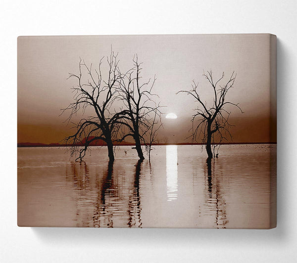  A Canvas Print of Chocolate River Tree Canvas Print