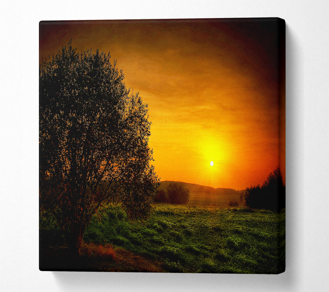  A Canvas Print of Yorkshire Dales Glow Canvas Wall Art