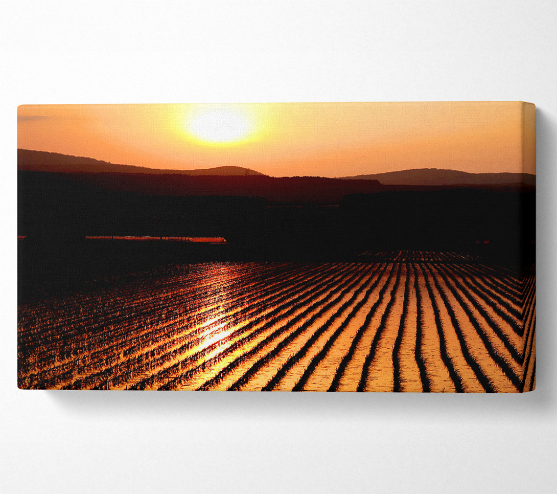  A Canvas Print of Sunset Over The Wheatfield Canvas Art