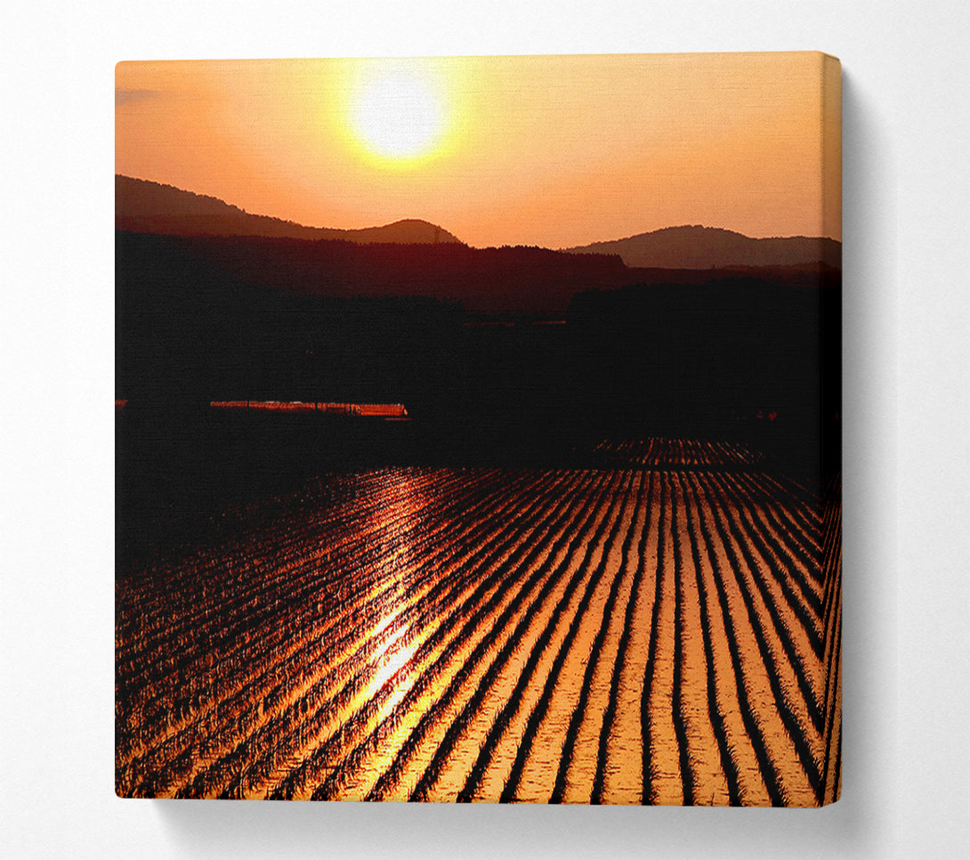  A Canvas Print of Sunset Over The Wheatfield Canvas Art