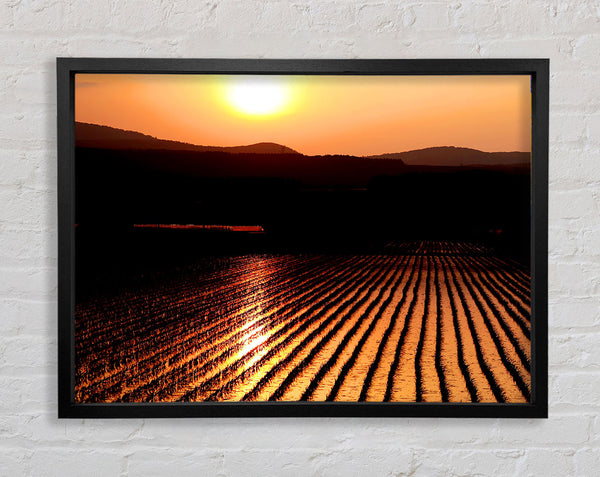 Sunset Over The Wheatfield Framed Print