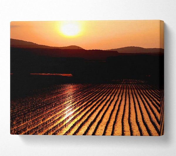 A Canvas Print of Sunset Over The Wheatfield Canvas Art