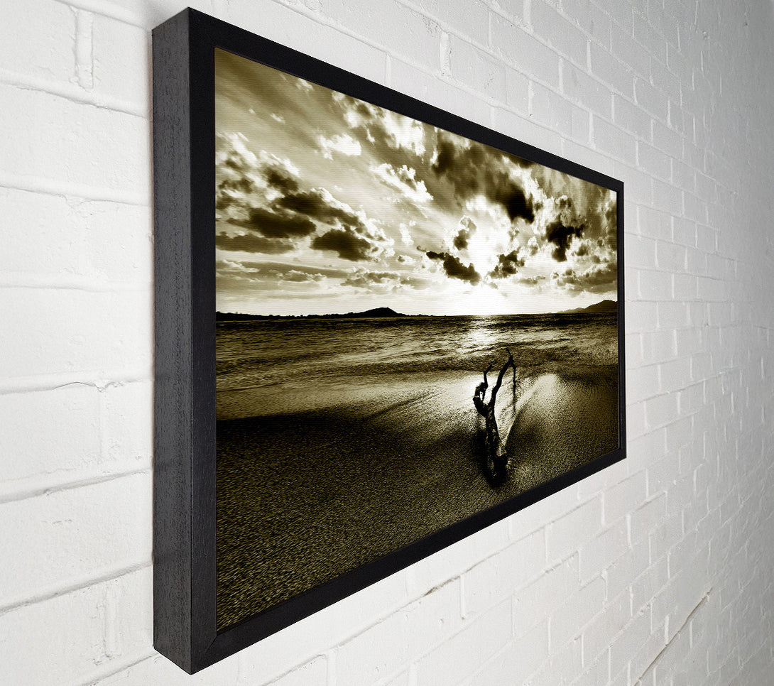  A Canvas Print of Driftwood Sepia Canvas Wall Art