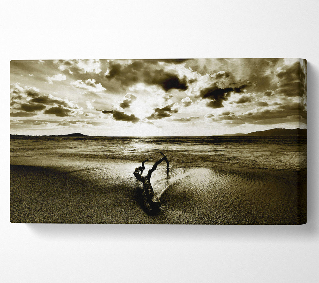  A Canvas Print of Driftwood Sepia Canvas Wall Art