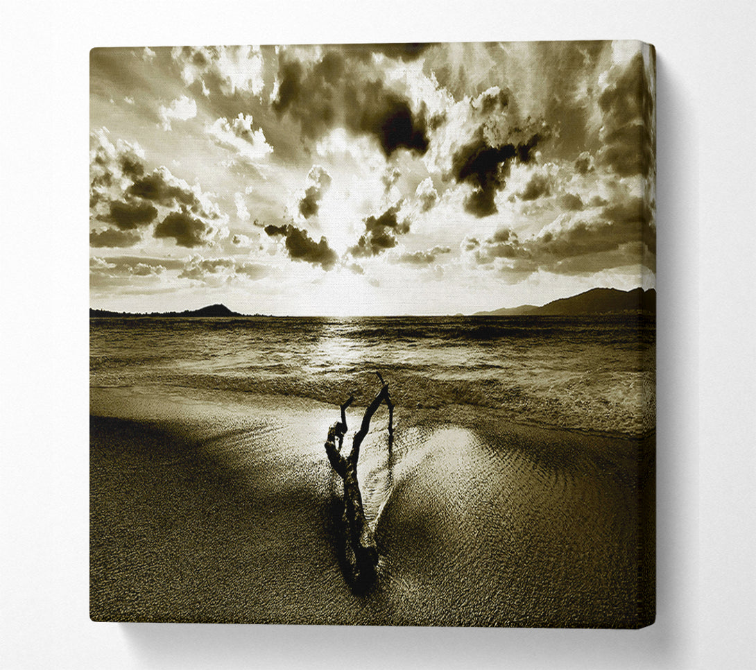  A Canvas Print of Driftwood Sepia Canvas Wall Art