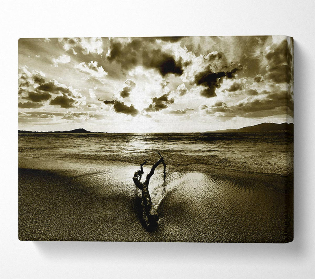  A Canvas Print of Driftwood Sepia Canvas Wall Art