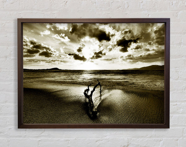 Driftwood Sepia Framed Print