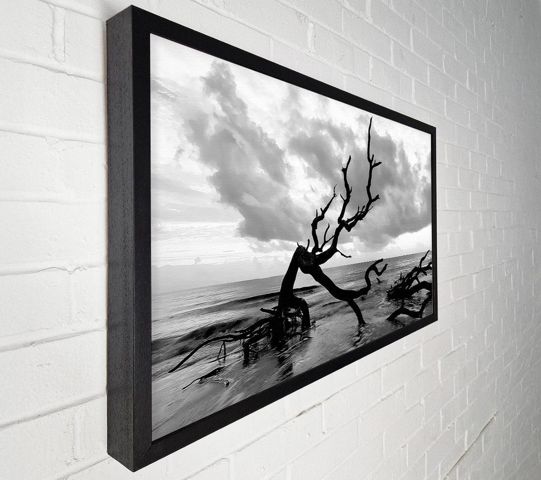 A Canvas Print of Ocean Driftwood B n W Canvas Wall Art