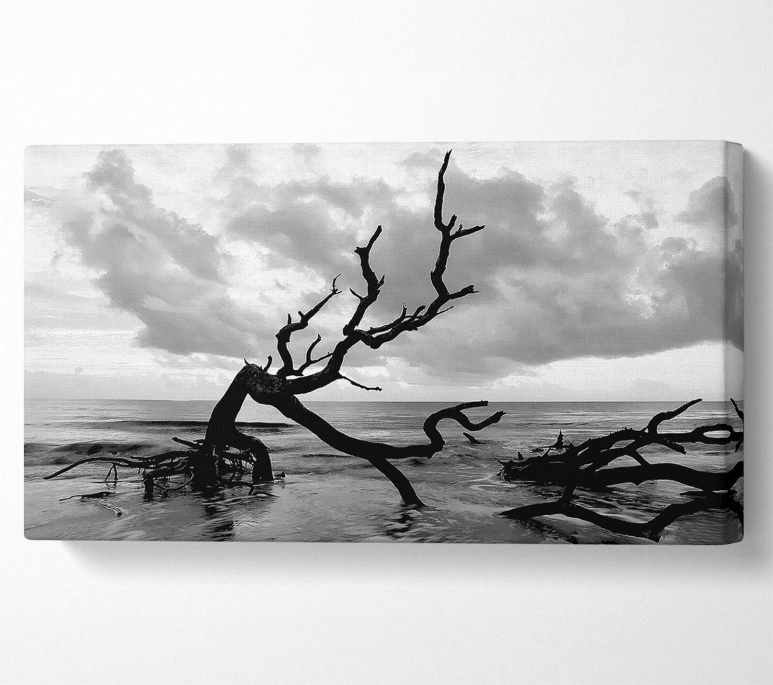  A Canvas Print of Ocean Driftwood B n W Canvas Wall Art