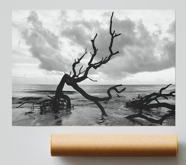 Ocean Driftwood B N W Giclee Print