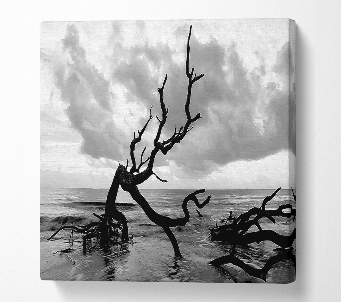  A Canvas Print of Ocean Driftwood B n W Canvas Wall Art