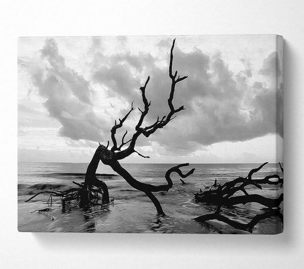  A Canvas Print of Ocean Driftwood B n W Canvas Wall Art