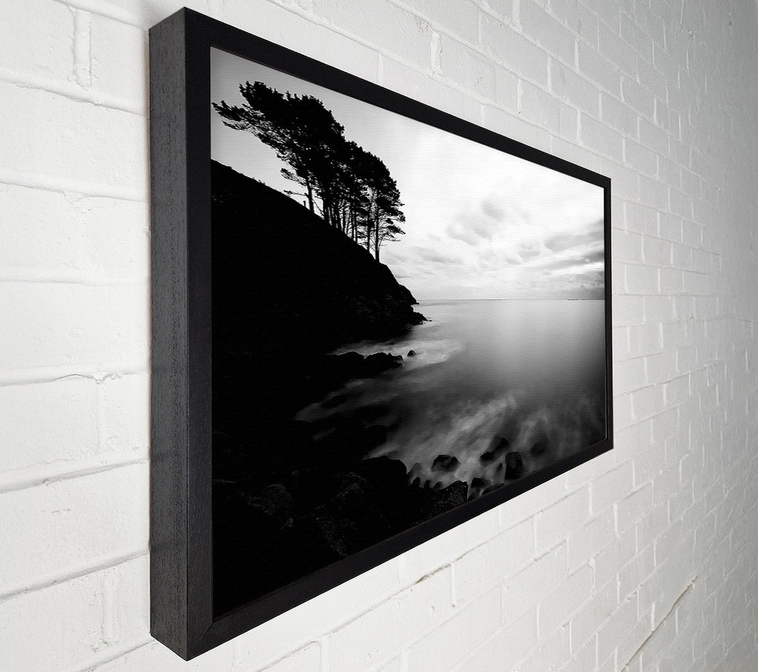  A Canvas Print of Tree Top Ocean Calm B n W Canvas Print
