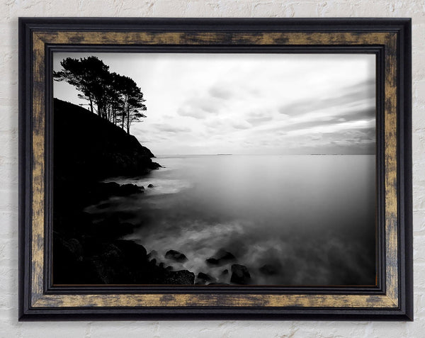 Tree Top Ocean Calm B n W Framed Print