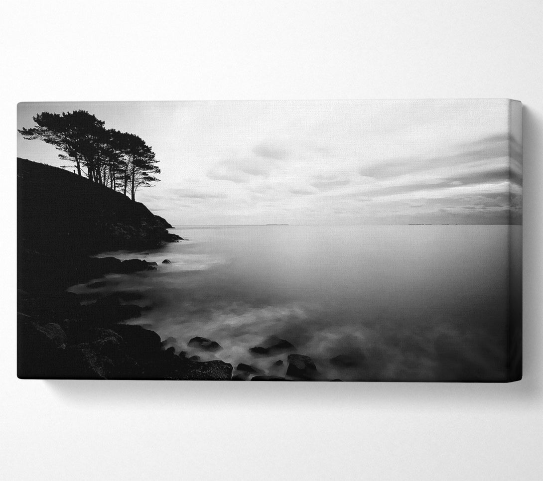  A Canvas Print of Tree Top Ocean Calm B n W Canvas Print