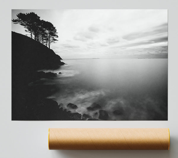 Tree Top Ocean Calm B N W Giclee Print