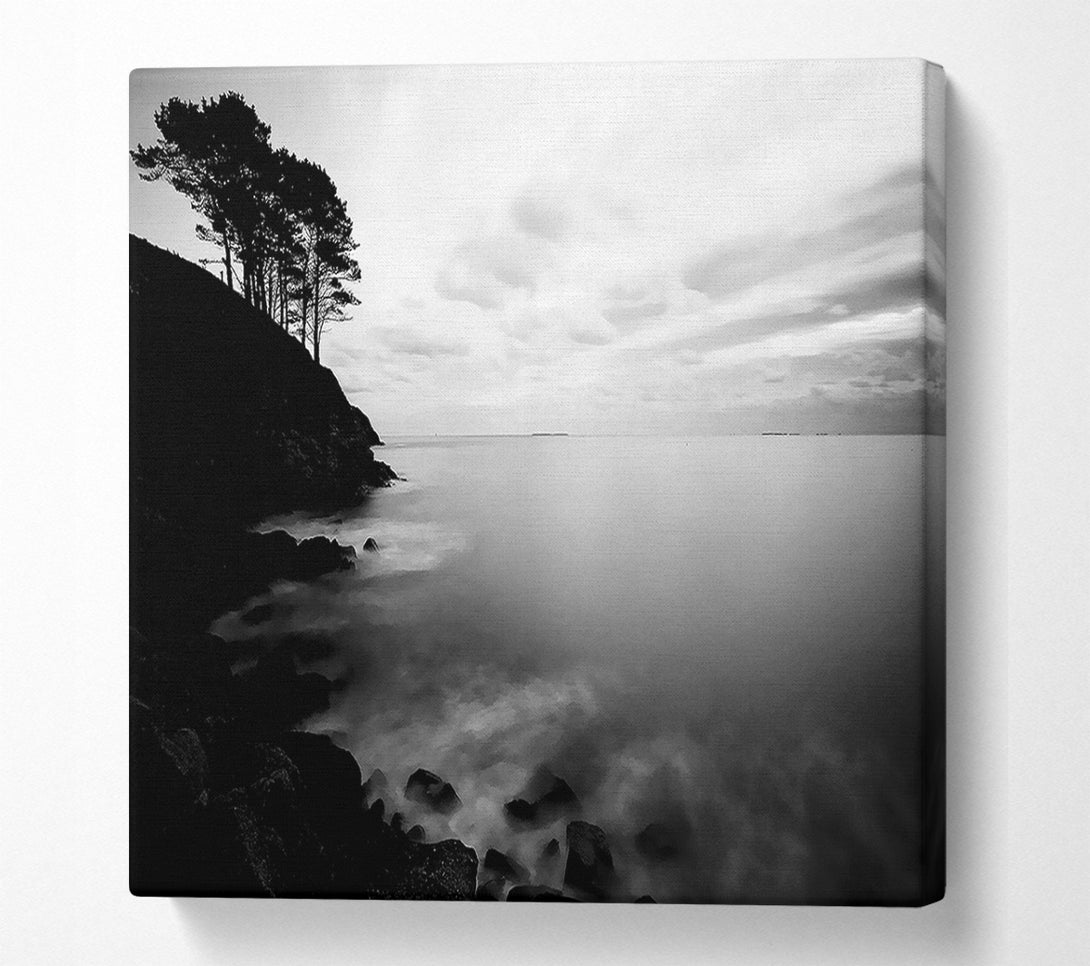  A Canvas Print of Tree Top Ocean Calm B n W Canvas Print
